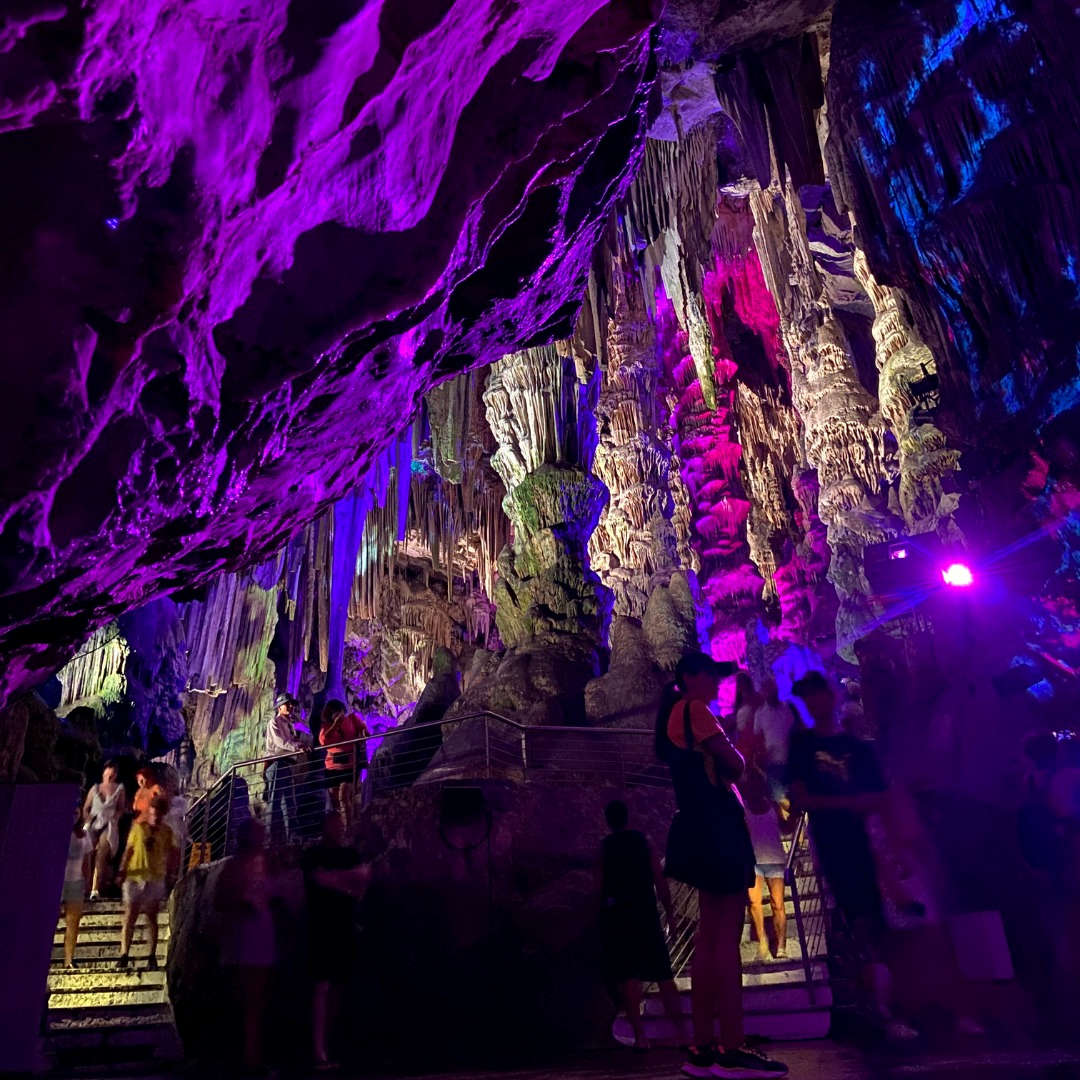 Gibraltar Platinum Tour - Guided Tour by Victory Tours