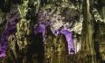 Gibraltar Tour Booking - Gibraltar Ultimate Tour