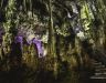 Gibraltar Intermediate Tour by Inside-Out Rock Tours