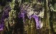 Gibraltar Tour Booking - Gibraltar Ultimate Tour